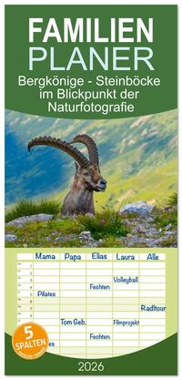 Familienplaner 2026 - Bergkönige - Steinböcke im Blickpunkt der Naturfotografie mit 5 Spalten (Wandkalender, 21 x 45 cm) CALVENDO