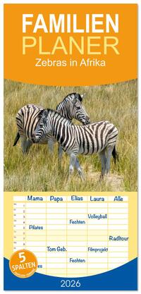 Familienplaner 2026 - Zebras in Afrika mit 5 Spalten (Wandkalender, 21 x 45 cm) CALVENDO