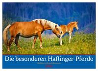 Die besonderen Haflinger-Pferde (Tischkalender 2026 DIN A5 quer), CALVENDO Monatskalender