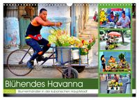 Blühendes Havanna - Blumenhändler in der kubanischen Hauptstadt (Wandkalender 2026 DIN A3 quer), CALVENDO Monatskalender