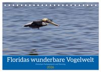 Floridas wunderbare Vogelwelt (Tischkalender 2026 DIN A5 quer), CALVENDO Monatskalender