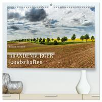 Brandenburger Landschaften (hochwertiger Premium Wandkalender 2026 DIN A2 quer), Kunstdruck in Hochglanz