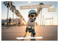 Jack Russel Active (Wandkalender 2026 DIN A4 quer), CALVENDO Monatskalender