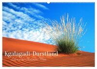 Kgalagadi-Durstland (Wandkalender 2026 DIN A2 quer), CALVENDO Monatskalender