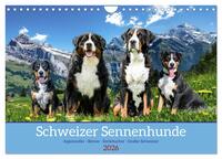 Schweizer Sennenhunde - Appenzeller - Berner - Entlebucher - Große Schweizer (Wandkalender 2026 DIN A4 quer), CALVENDO Monatskalender