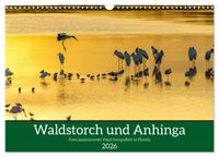 Waldstorch und Anhinga (Wandkalender 2026 DIN A3 quer), CALVENDO Monatskalender
