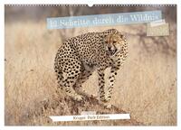 12 Schritte durch die Wildnis, Kruger Park Edition (Wandkalender 2026 DIN A2 quer), CALVENDO Monatskalender