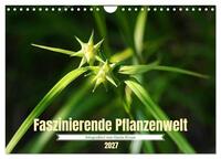 Faszinierende Pflanzenwelt (Wandkalender 2027 DIN A4 quer), CALVENDO Monatskalender