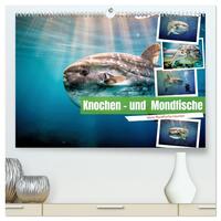 Knochen - und Mondfische (hochwertiger Premium Wandkalender 2027 DIN A2 quer), Kunstdruck in Hochglanz