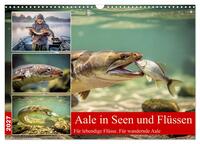 Aale in Seen und Flüssen (Wandkalender 2027 DIN A3 quer), CALVENDO Monatskalender