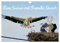 Eine Saison mit Familie Storch (Wandkalender 2027 DIN A4 quer), CALVENDO Monatskalender