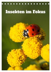 Insekten im Fokus (Tischkalender 2027 DIN A5 hoch), CALVENDO Monatskalender