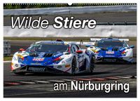 Wilde Stiere am Nürburgring (Wandkalender 2027 DIN A2 quer), CALVENDO Monatskalender