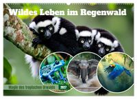 Wildes Leben im Regenwald (Wandkalender 2027 DIN A2 quer), CALVENDO Monatskalender