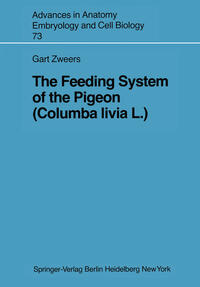 The Feeding System of the Pigeon (Columba livia L.)