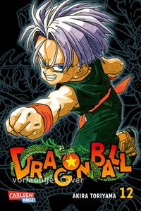 Dragon Ball Massiv 12