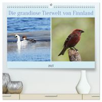 Die grandiose Tierwelt von Finnland (hochwertiger Premium Wandkalender 2027 DIN A2 quer), Kunstdruck in Hochglanz