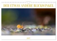 Der etwas andere Blickwinkel (Wandkalender 2027 DIN A4 quer), CALVENDO Monatskalender