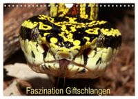 Faszination Giftschlangen (Wandkalender 2027 DIN A4 quer), CALVENDO Monatskalender