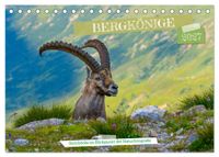 Bergkönige - Steinböcke im Blickpunkt der Naturforografie (Tischkalender 2027 DIN A5 quer), CALVENDO Monatskalender
