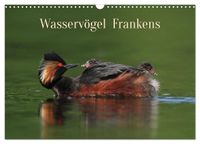 Wasservögel Frankens (Wandkalender 2027 DIN A3 quer), CALVENDO Monatskalender
