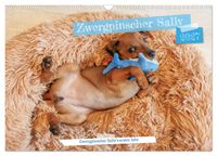 Zwergpinscher Sally‘s erstes Jahr (Wandkalender 2027 DIN A3 quer), CALVENDO Monatskalender