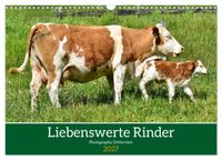 Liebenswerte Rinder (Wandkalender 2027 DIN A3 quer), CALVENDO Monatskalender