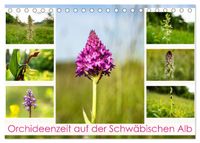 Orchideenzeit auf der Schwäbischen Alb (Tischkalender 2027 DIN A5 quer), CALVENDO Monatskalender