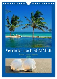 Verrückt nach SOMMER Urlaub- Auszeit - Sprüche (Wandkalender 2027 DIN A4 hoch), CALVENDO Monatskalender