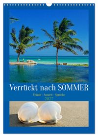 Verrückt nach SOMMER Urlaub- Auszeit - Sprüche (Wandkalender 2027 DIN A3 hoch), CALVENDO Monatskalender