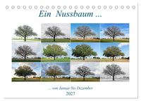 Ein Nussbaum von Januar bis Dezember (Tischkalender 2027 DIN A5 quer), CALVENDO Monatskalender