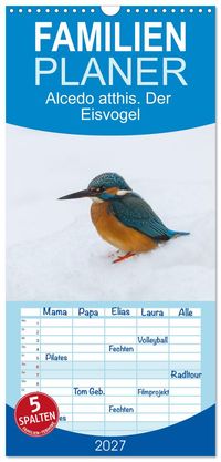 Familienplaner 2027 - Alcedo atthis. Der Eisvogel mit 5 Spalten (Wandkalender, 21 x 45 cm) CALVENDO