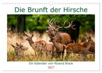 Die Brunft der Hirsche (Wandkalender 2027 DIN A3 quer), CALVENDO Monatskalender