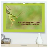 Die Gottesanbeterin Mantis Religiosa (hochwertiger Premium Wandkalender 2027 DIN A2 quer), Kunstdruck in Hochglanz
