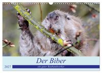 Der Biber, ein guter Bauhandwerker (Wandkalender 2027 DIN A3 quer), CALVENDO Monatskalender