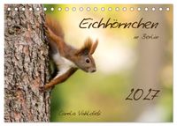 Eichhörnchen in Berlin (Tischkalender 2027 DIN A5 quer), CALVENDO Monatskalender