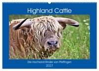 Highland Cattle, die Hochlandrinder aus Pfeffingen (Wandkalender 2027 DIN A2 quer), CALVENDO Monatskalender