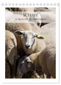 Schafe - 12 Monate in der Herde (Tischkalender 2027 DIN A5 hoch), CALVENDO Monatskalender