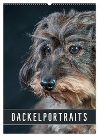 Dackelportraits (Wandkalender 2027 DIN A2 hoch), CALVENDO Monatskalender