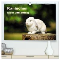 Kaninchen klein und putzig (hochwertiger Premium Wandkalender 2027 DIN A2 quer), Kunstdruck in Hochglanz