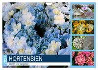 Hortensien Blühen und Vergehen (Wandkalender 2027 DIN A4 quer), CALVENDO Monatskalender
