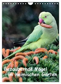 Bezaubernde Vögel im heimischen Garten (Wandkalender 2027 DIN A4 hoch), CALVENDO Monatskalender