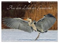 Aus dem Leben der Graureiher (Wandkalender 2027 DIN A3 quer), CALVENDO Monatskalender