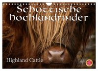 Schottische Hochlandrinder - Highland Cattle (Wandkalender 2027 DIN A4 quer), CALVENDO Monatskalender