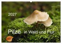 Pilze in Wald und Flur (Wandkalender 2027 DIN A2 quer), CALVENDO Monatskalender