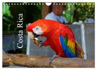 Costa Rica (Wandkalender 2027 DIN A4 quer), CALVENDO Monatskalender