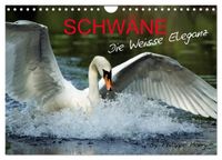 SCHWÄNE. (Wandkalender 2027 DIN A4 quer), CALVENDO Monatskalender