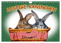 Lustige Kaninchen (Wandkalender 2027 DIN A4 quer), CALVENDO Monatskalender