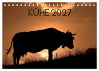 Kühe 2027 (Tischkalender 2027 DIN A5 quer), CALVENDO Monatskalender