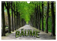 Bäume 2027 (Wandkalender 2027 DIN A4 quer), CALVENDO Monatskalender